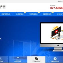 湖北楚泰軟件信息公司 專業(yè)軟件開(kāi)發(fā)解決方案，助力企業(yè)數(shù)字化轉(zhuǎn)型